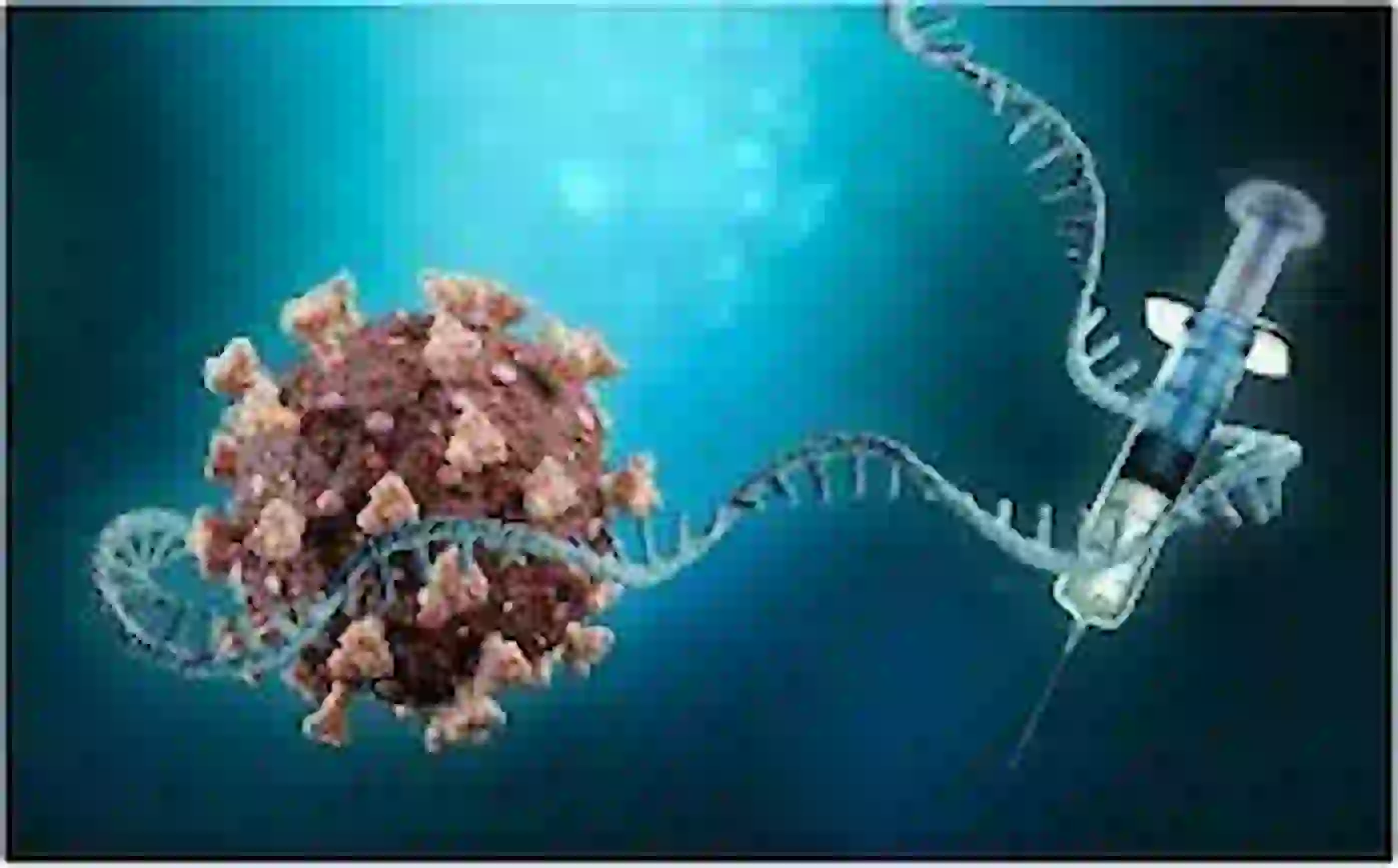 Diseases and Vaccinations In The Schengen Area